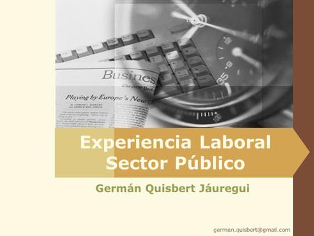 Germán Quisbert Jáuregui Experiencia Laboral Sector Público