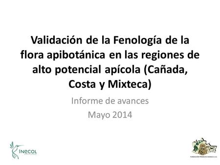 Informe de avances Mayo 2014