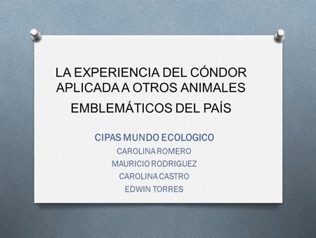 LA EXPERIENCIA DEL CÓNDOR APLICADA A OTROS ANIMALES EMBLEMÁTICOS DEL PAÍS CIPAS MUNDO ECOLOGICO CAROLINA ROMERO MAURICIO RODRIGUEZ CAROLINA CASTRO EDWIN.