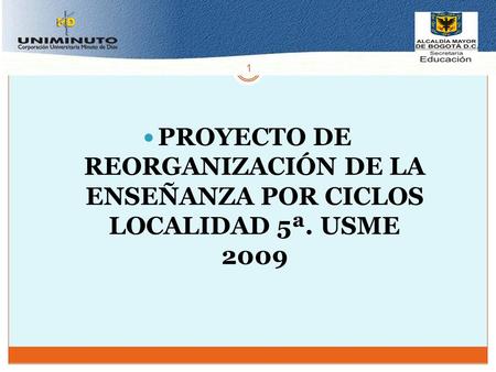 1 PROYECTO DE REORGANIZACIÓN DE LA ENSEÑANZA POR CICLOS LOCALIDAD 5ª. USME 2009.