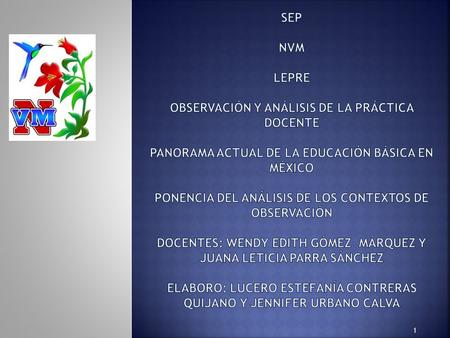 SEP NVM LEPRE Observación y análisis de la práctica docente panorama actual de la educación básica en México ponencia del análisis de los contextos.
