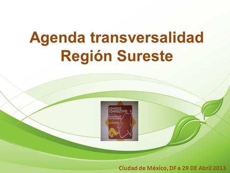 Agenda transversalidad Región Sureste Ciudad de México, DF a 29 DE Abril 2013.