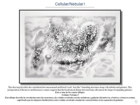 Cellular/Nebular I This drawing describes the correlation between neuronal and blood vessel “tree-like” branching structures along with nebulae and galaxies.