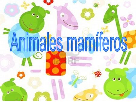 Animales mamíferos.
