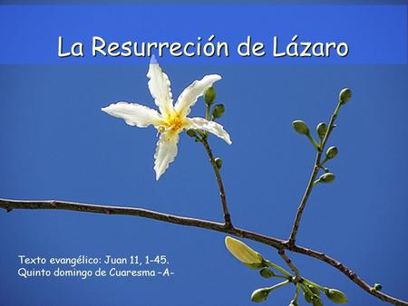 La Resurreción de Lázaro