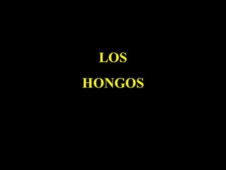 LOS HONGOS.