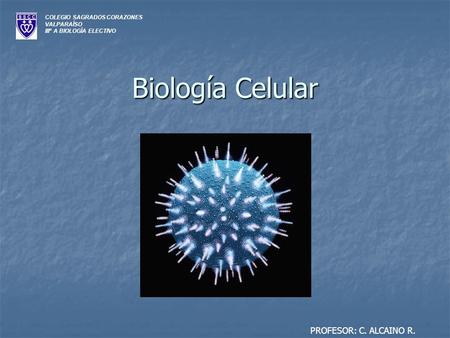 Biología Celular PROFESOR: C. ALCAINO R. COLEGIO SAGRADOS CORAZONES