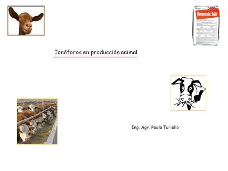 Ionóforos en producción animal
