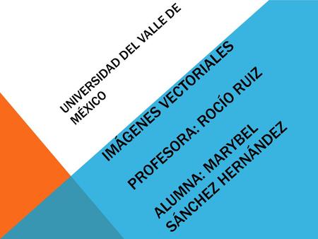 Universidad del Valle de México Imágenes Vectoriales Profesora: Rocío Ruiz Alumna: Marybel Sánchez Hernández.