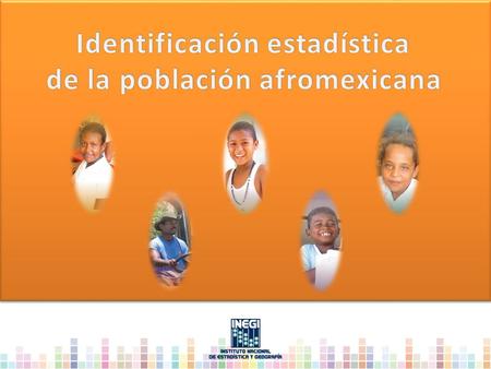 Identificación estadística de la población afromexicana