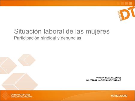 Situación laboral de las mujeres Participación sindical y denuncias PATRICIA SILVA MELENDEZ DIRECTORA NACIONAL DEL TRABAJO MARZO 2009.