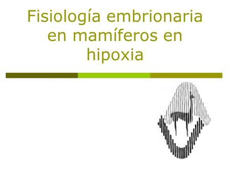 Fisiología embrionaria en mamíferos en hipoxia