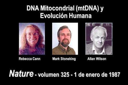DNA Mitocondrial (mtDNA) y Nature - volumen de enero de 1987