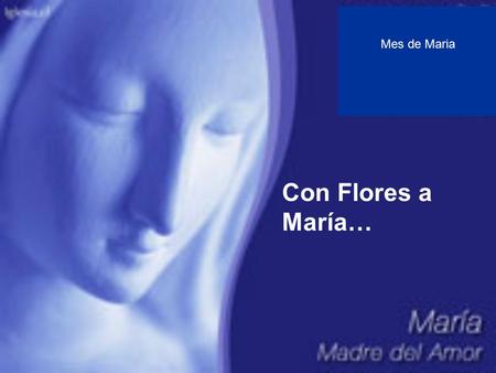 Mes de Maria Con Flores a María… “Debemos aspirar a ser un reflejo de Maráa en la vida diaria.” P.J.K. Tan solo me pregunto: ¿Qué harías tú María en.
