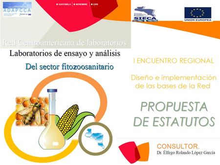 CAPÍTULO I. PROPUSTA DE ESTATUTOS PRIMER ENCUENTRO REGIONAL Diseño e Implementación de las bases de la RED GUATEMALA, 22 Y 23 DE NOVIEMBRE, 2010 Constitución,
