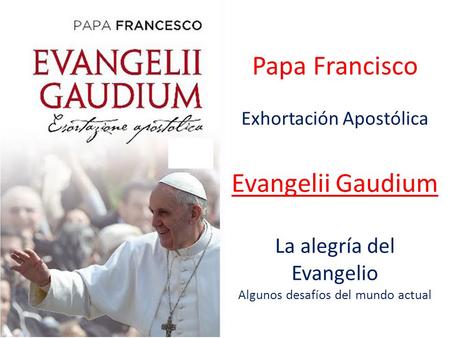 Papa Francisco Exhortación Apostólica Evangelii Gaudium La alegría del Evangelio Algunos desafíos del mundo actual.