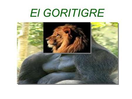El GORITIGRE.