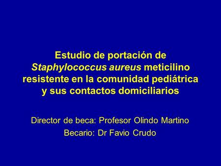 Director de beca: Profesor Olindo Martino Becario: Dr Favio Crudo