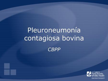 Pleuroneumonía contagiosa bovina