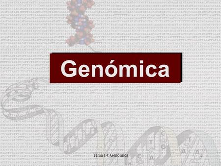 Genómica Tema 14: Genómica.