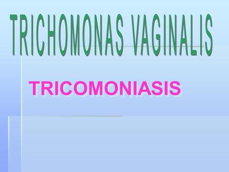 TRICHOMONAS VAGINALIS