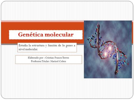 Elaborado por : Cristian Franco Torres Profesora Titular: Marisol Cobos Estudia la estructura y función de lo genes a nivel molecular.