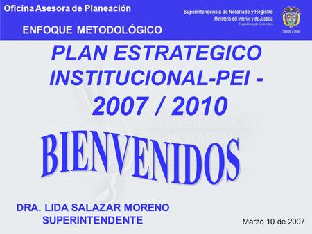 PLAN ESTRATEGICO INSTITUCIONAL-PEI / 2010