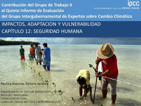 Contribución del Grupo de Trabajo II al Quinto Informe de Evaluación del Grupo Intergubernamental de Expertos sobre Cambio Climático IMPACTOS, ADAPTACION.