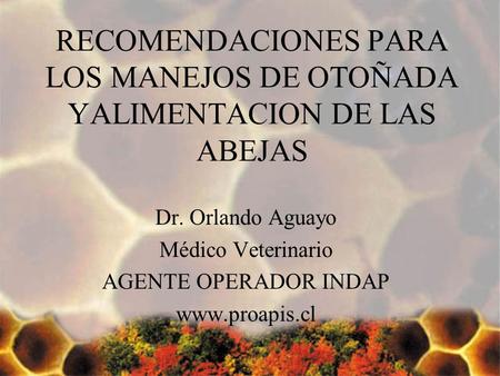 RECOMENDACIONES PARA LOS MANEJOS DE OTOÑADA YALIMENTACION DE LAS ABEJAS Dr. Orlando Aguayo Médico Veterinario AGENTE OPERADOR INDAP www.proapis.cl.