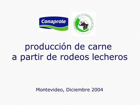 1 producción de carne a partir de rodeos lecheros Montevideo, Diciembre 2004.