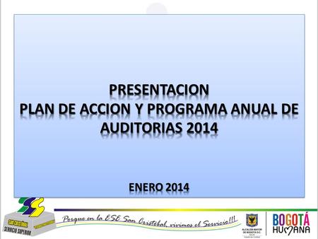 PLAN DE ACCION Y PROGRAMA ANUAL DE AUDITORIAS 2014
