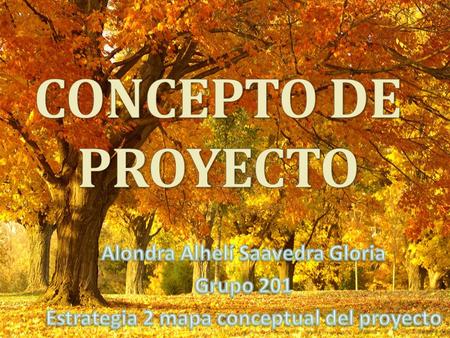 CONCEPTO DE PROYECTO Alondra Alhelí Saavedra Gloria Grupo 201