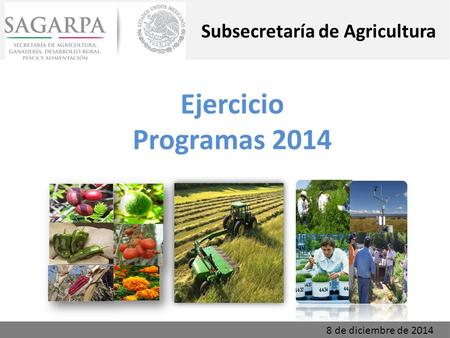 Ejercicio Programas 2014 Subsecretaría de Agricultura