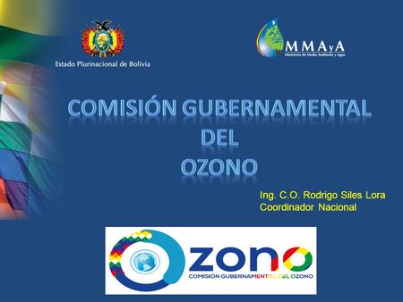 COMISIÓN GUBERNAMENTAL DEL OZONO