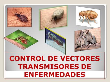 CONTROL DE VECTORES TRANSMISORES DE ENFERMEDADES