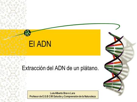 Extracción del ADN de un plátano.