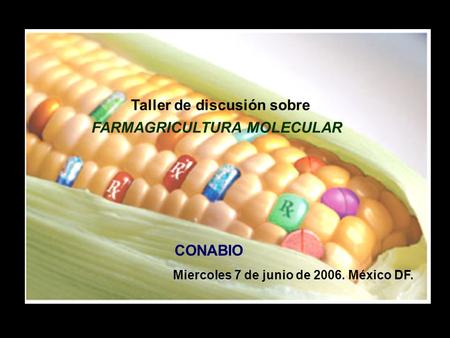 Taller de discusión sobre FARMAGRICULTURA MOLECULAR Miercoles 7 de junio de 2006. México DF. CONABIO.