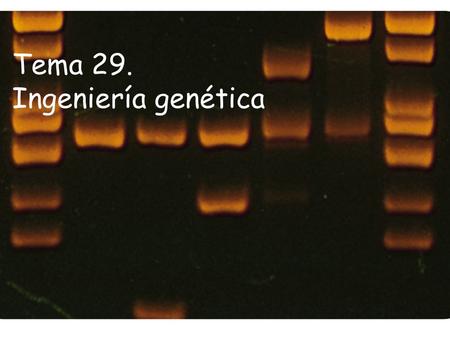 Tema 29. Ingeniería genética