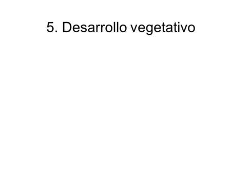 5. Desarrollo vegetativo
