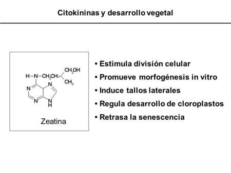 Citokininas y desarrollo vegetal
