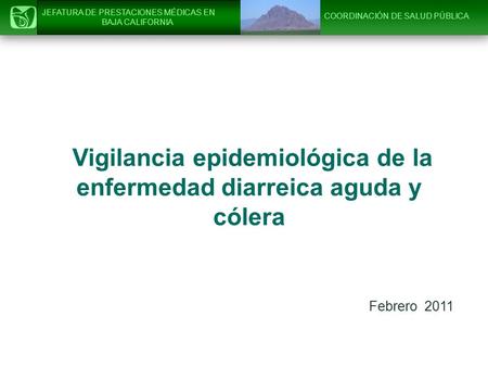 Vigilancia epidemiológica de la enfermedad diarreica aguda y