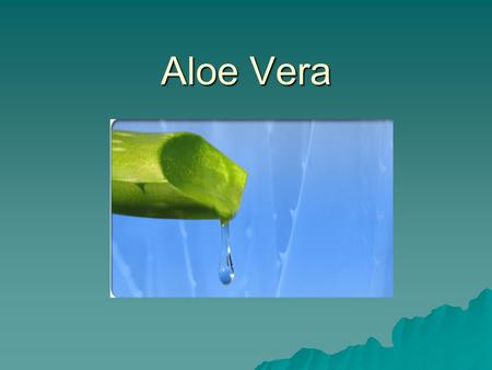 Aloe Vera.