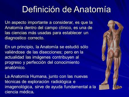 Definición de Anatomía