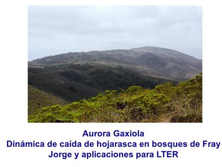 Aurora Gaxiola Dinámica de caída de hojarasca en bosques de Fray Jorge y aplicaciones para LTER.