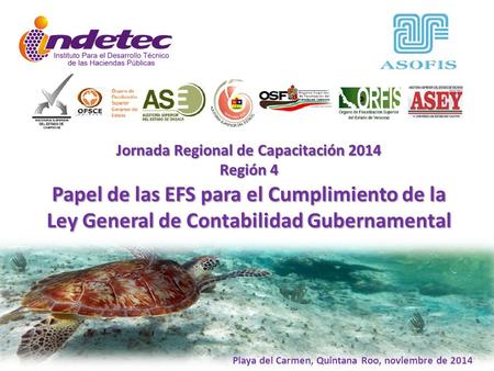 Playa del Carmen, Quintana Roo, noviembre de 2014 Papel de las EFS para el Cumplimiento de la Ley General de Contabilidad Gubernamental Jornada Regional.