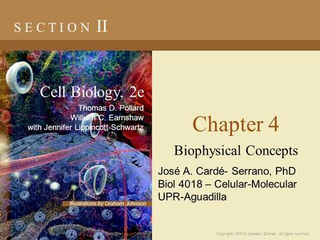Chapter 4 Biophysical Concepts S E C T I O N II Copyright 2008 by Saunders/Elsevier. All rights reserved. Illustrations by Graham Johnson Cell Biology,