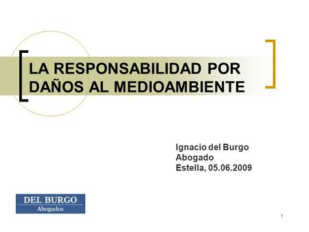 1 LA RESPONSABILIDAD POR DAÑOS AL MEDIOAMBIENTE Ignacio del Burgo Abogado Estella, 05.06.2009.