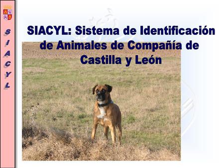 SIACYL: Sistema de Identificación de Animales de Compañía de
