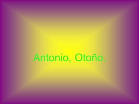 Antonio, Otoño.. Erase una vez un chico que fue abandonado en un bosque. Il était une fois un enfant qui fut abandonné dans une forêt.