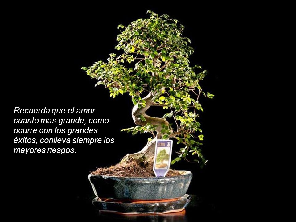 El forex conlleva riesgos